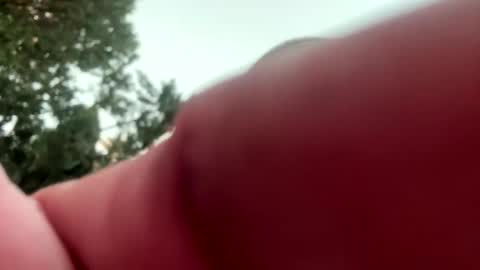 ccs13200 online show from 01.06.26