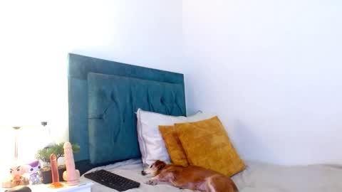 Cedrixx10 online show from 02.11.26