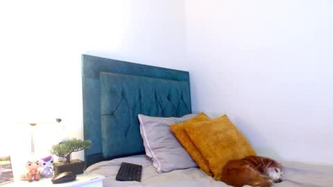 Cedrixx10 online show from 02.25.26