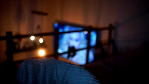 Sunflower  online show from 02.14.26