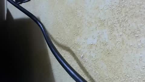 Snapshot of celhoduro23c chatting on 11.28.25 celhoduro23c online show from 11.28.25