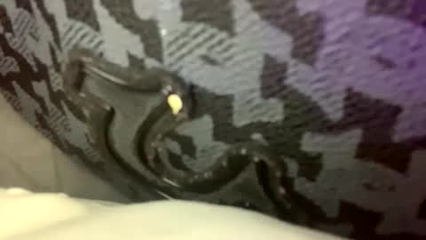 cezarthebreeder online show from 02.22.26