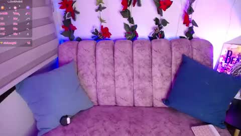 charlotte online show from 01.20.25