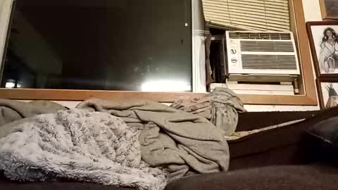 Chad420247 online show from 02.04.26