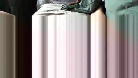 challe online show from 12.03.25