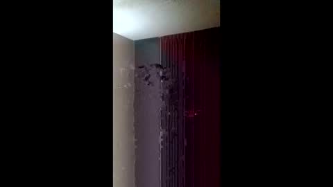 Snapshot of chandelier6969 chatting on 03.22.26 Roxy and Royce online show from 03.22.26