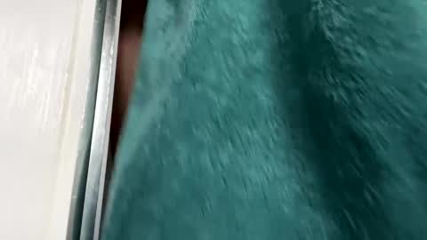 Gary online show from 11.29.25