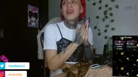 Ale punky online show from 04.27.26