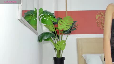 C H A R L O T E online show from 03.01.26