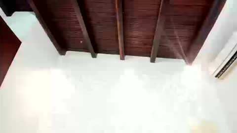 Snapshot of charlothe_01 chatting on 03.11.26 Charlot online show from 03.11.26