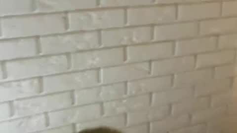 Snapshot of charlottebunnyuwu chatting on 02.12.25 charlottebunnyuwu online show from 02.12.25