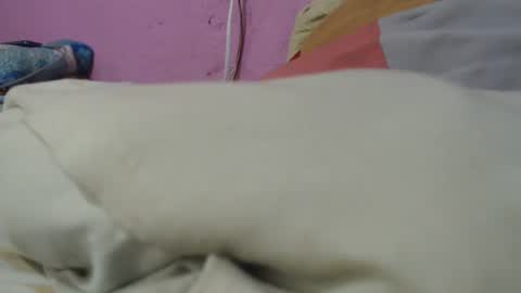 Cheila online show from 06.29.26