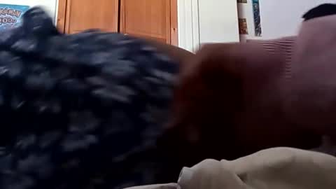 ChemicalX  online show from 03.09.26