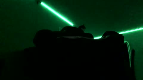 Snapshot of chenovich chatting on 11.16.25 chenovich online show from 11.16.25