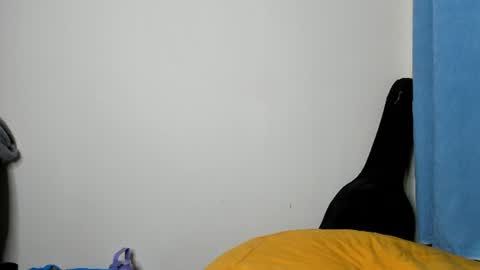 cherry_falls online show from 07.25.26