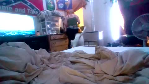 Snapshot of cherrybomb454 chatting on 02.16.26 cherrybomb454 online show from 02.16.26