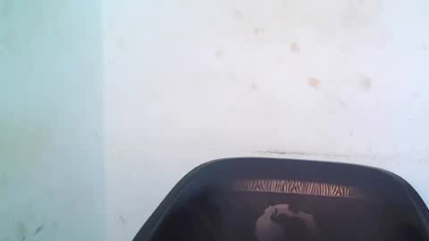 cherryxpussy online show from 05.03.26
