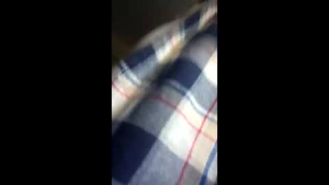 chi579822 online show from 03.14.26