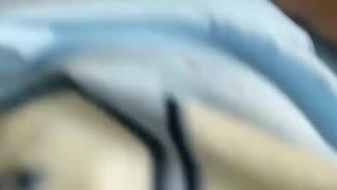 Snapshot of chico18cm5 chatting on 01.31.25 domenic online show from 01.31.25