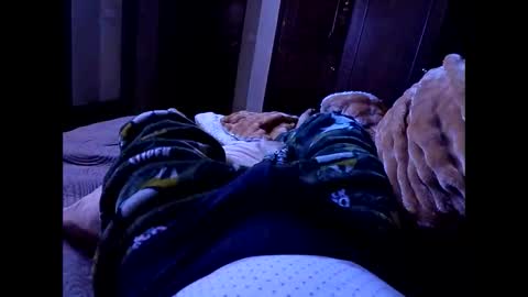 Snapshot of chikis230588 chatting on 02.10.26 chikis230588 online show from 02.10.26