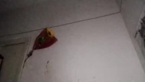 China online show from 11.07.25