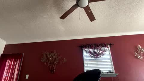 CHINO online show from 02.24.26