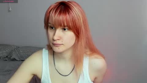 choco_meowx online show from 05.05.26