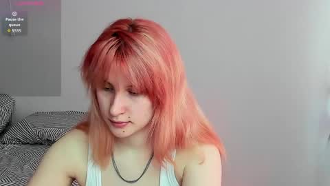 choco_meowx online show from 05.06.26