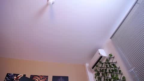 Christopher Black online show from 12.17.25