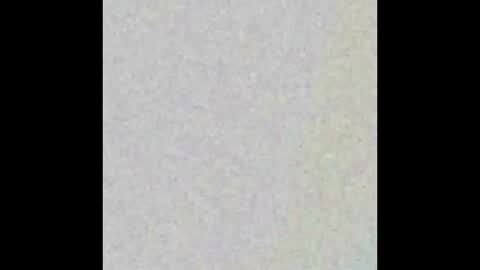 chubbybunnsv online show from 12.18.24