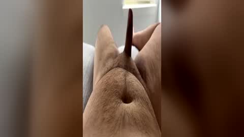 Snapshot of chubbydick9069 chatting on 06.15.26 chubbydick9069 online show from 06.15.26