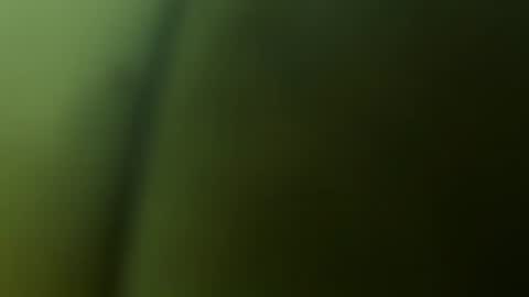 chuckyschick69 online show from 12.03.25