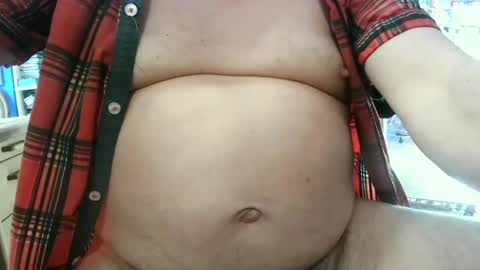 Circus Bear online show from 03.02.25