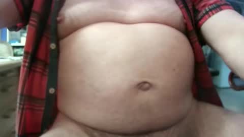 Circus Bear online show from 02.05.26