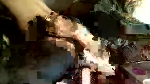 dan online show from 03.05.25