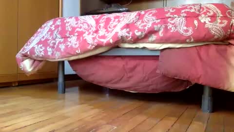 claudi779 online show from 12.29.24