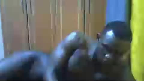 clive_damian online show from 07.01.26