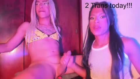 cock_slv online show from 01.08.25