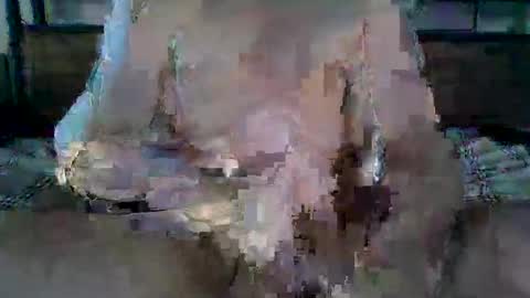 Ethan Slade online show from 04.19.26