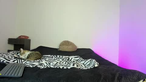 cody online show from 11.16.25