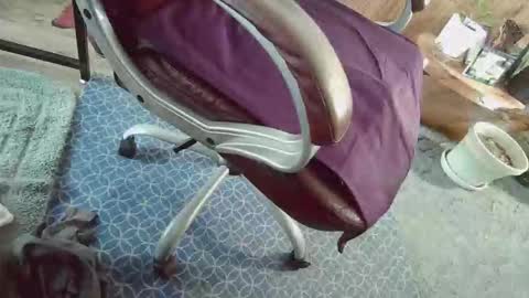 cody81421 online show from 01.12.26