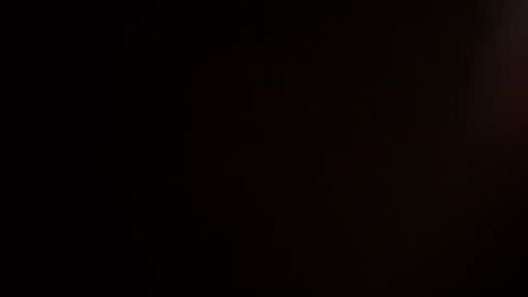 Snapshot of cogito3rgocum chatting on 01.20.25 danhung online show from 01.20.25