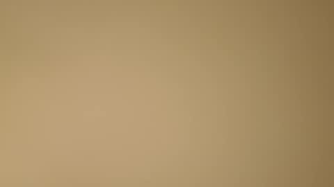 Snapshot of color233 chatting on 11.08.25 color233 online show from 11.08.25