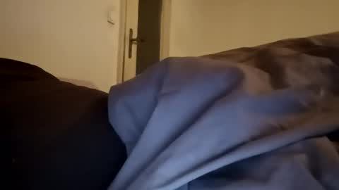 color233 online show from 02.08.26