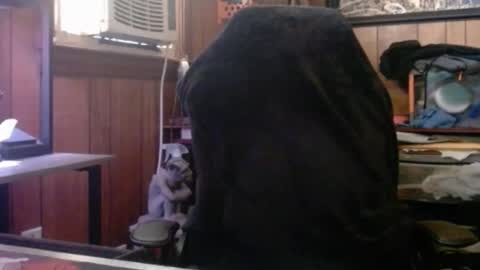 Nelson or ComicKing and sometime Peachy143 online show from 03.08.26