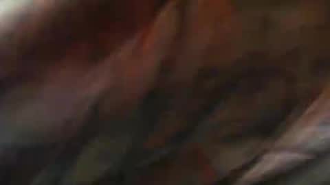 Snapshot of comox1961 chatting on 02.10.25 comox online show from 02.10.25