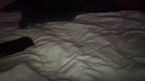 Snapshot of concretecarpenter chatting on 11.09.25 concretecarpenter online show from 11.09.25