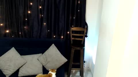 Sofi online show from 06.10.26