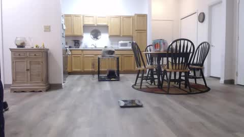 Snapshot of copper_crotch chatting on 01.11.26 copper_crotch online show from 01.11.26