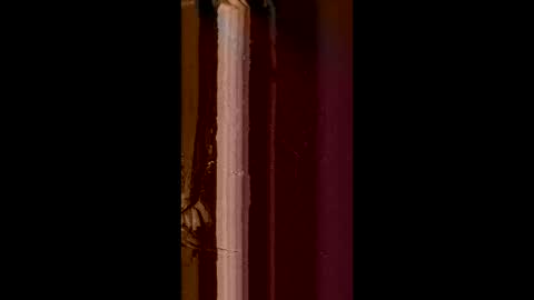 Snapshot of corradog83 chatting on 02.08.25 Corrado online show from 02.08.25